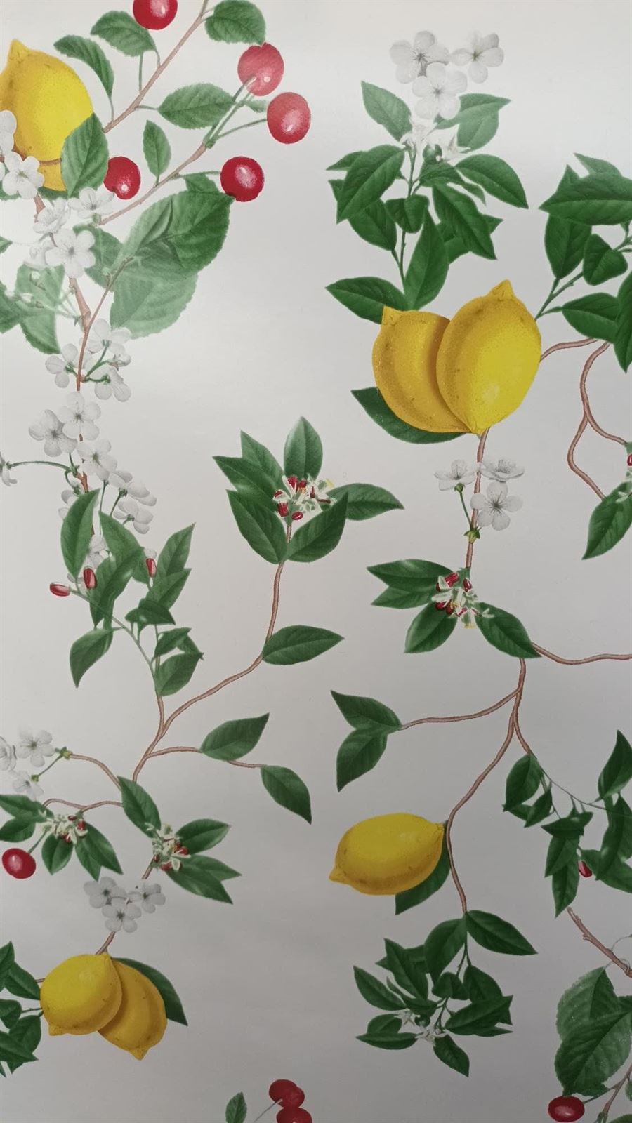Hule limones /cerezas - Imagen 1